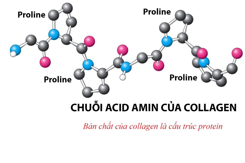 Collagen – tác dụng của nó đối với da mặt