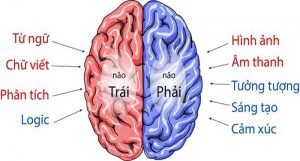 não trái não phải 2
