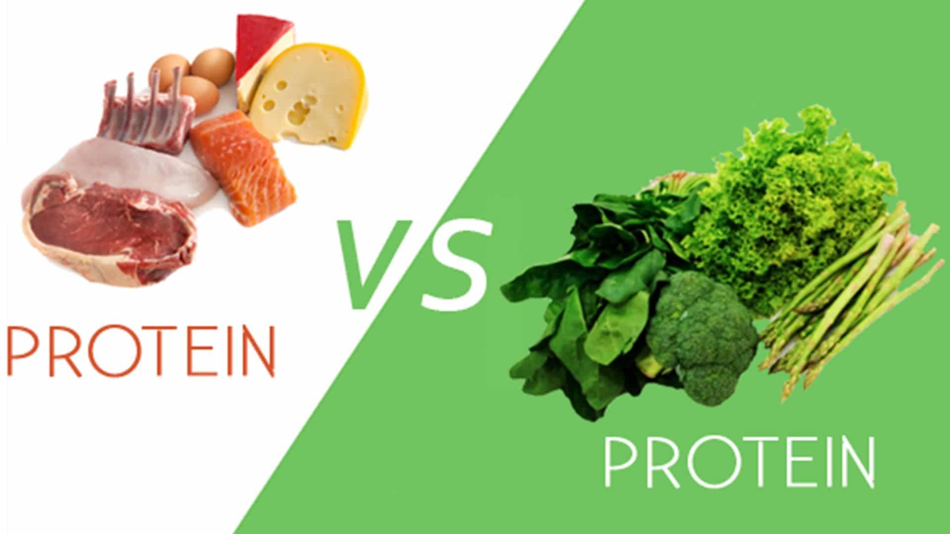 protein vs protein2