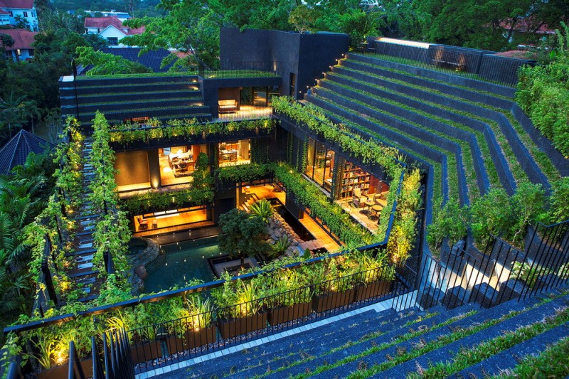 Vườn trên mái nhà