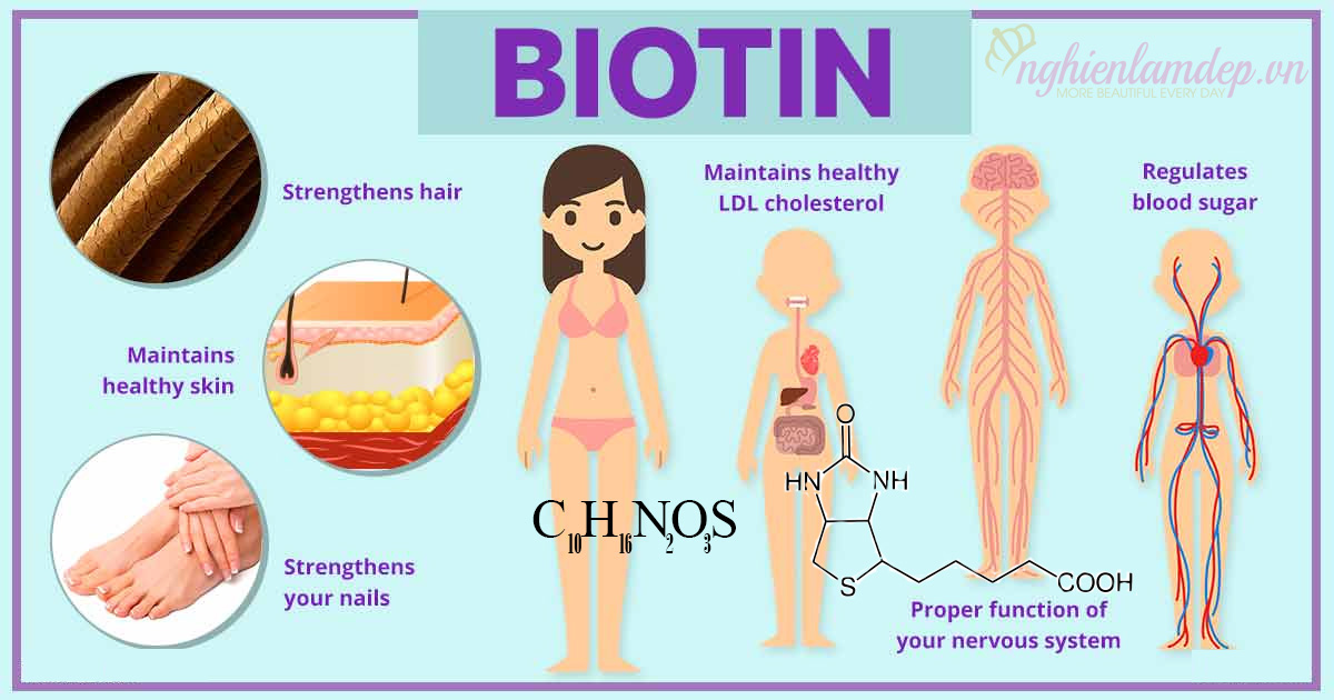biotin là gì?