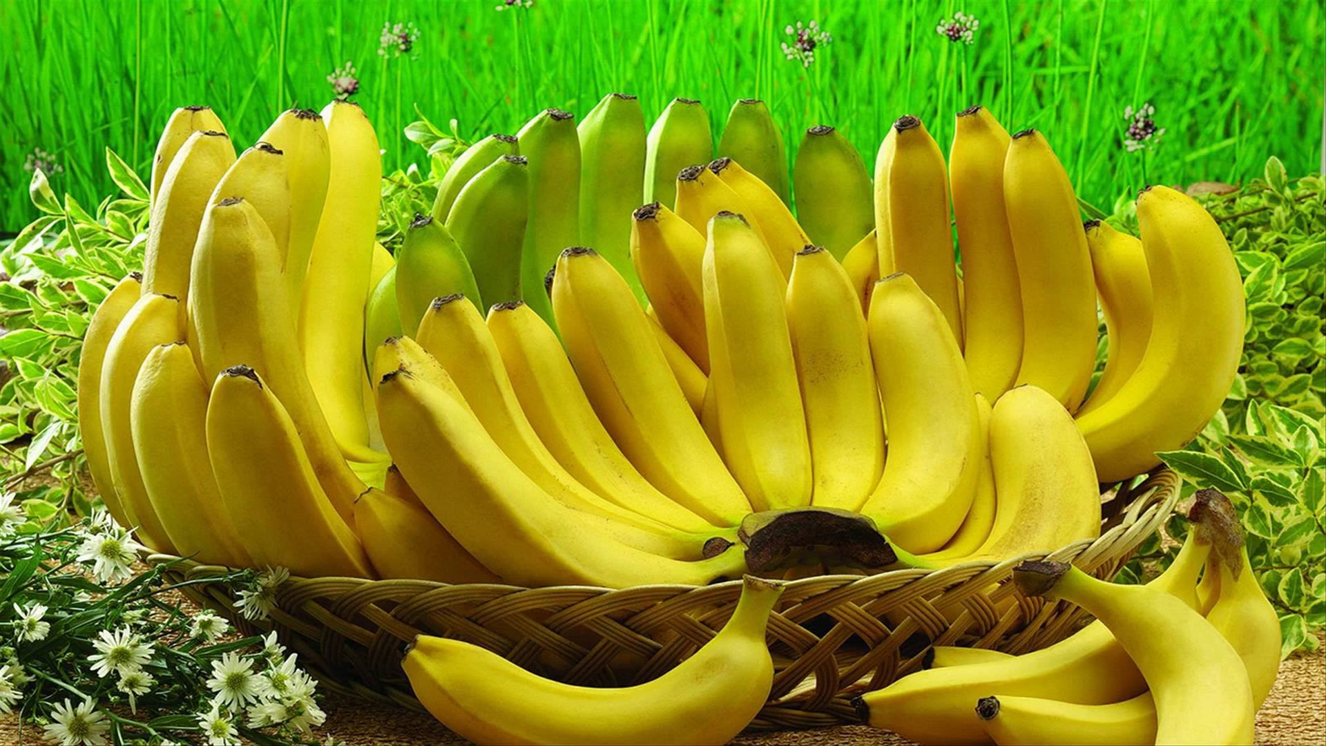 Chuối hỗ trợ giảm mỡ bụng rât tốt