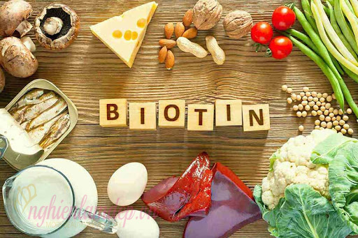 Vitamin H chứa trong nhiều thực phẩm