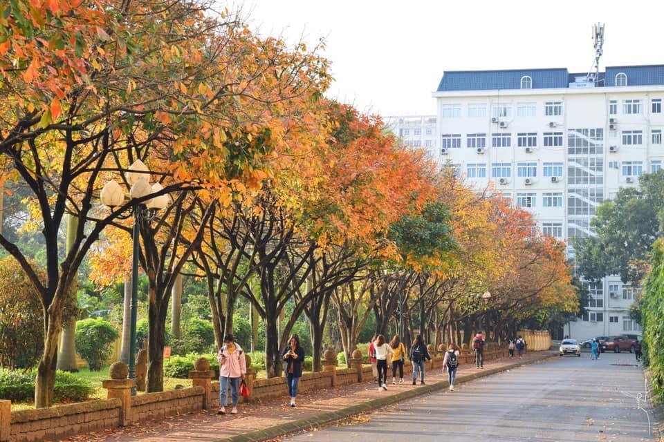 “Con đường tình yêu” Đại học sư phạm Hà Nội