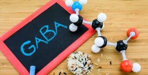 GABA1