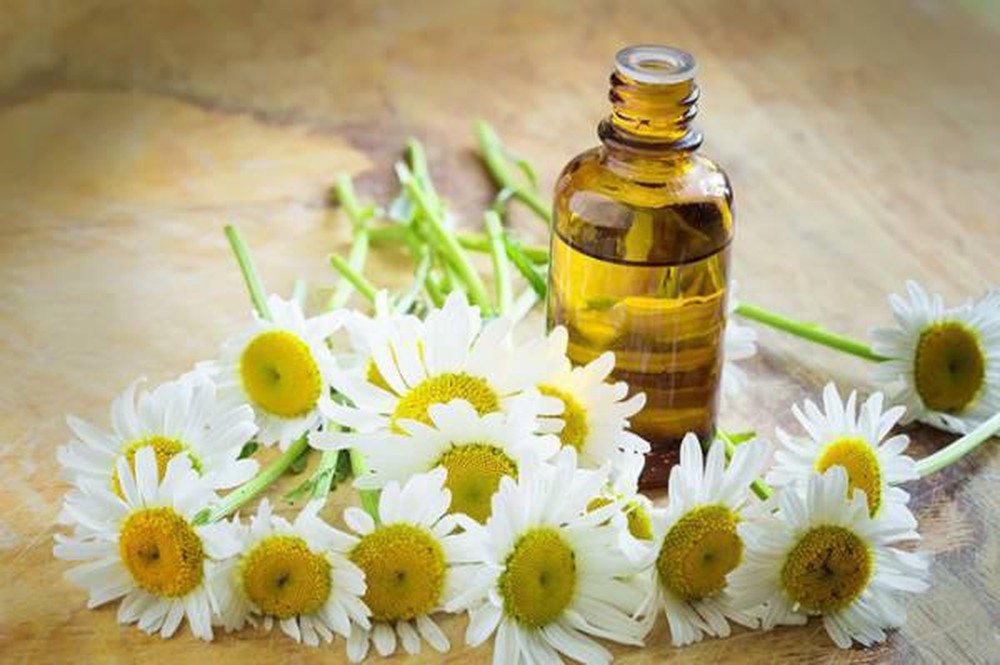 Mặt nạ dưỡng môi bằng tinh dầu hoa cúc