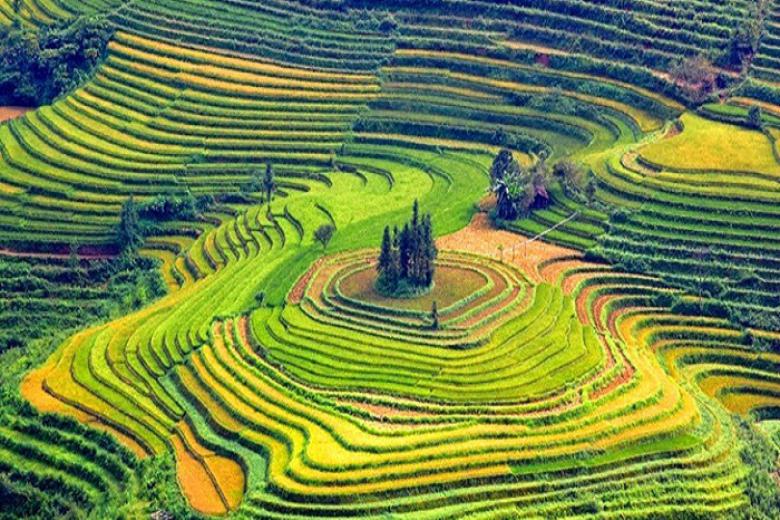 Mộc châu sơn la