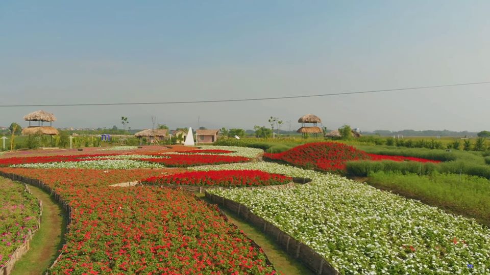 Thung lũng hoa Nội Bài