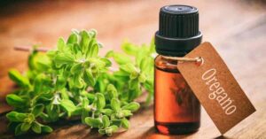 Tinh dầu Oregano