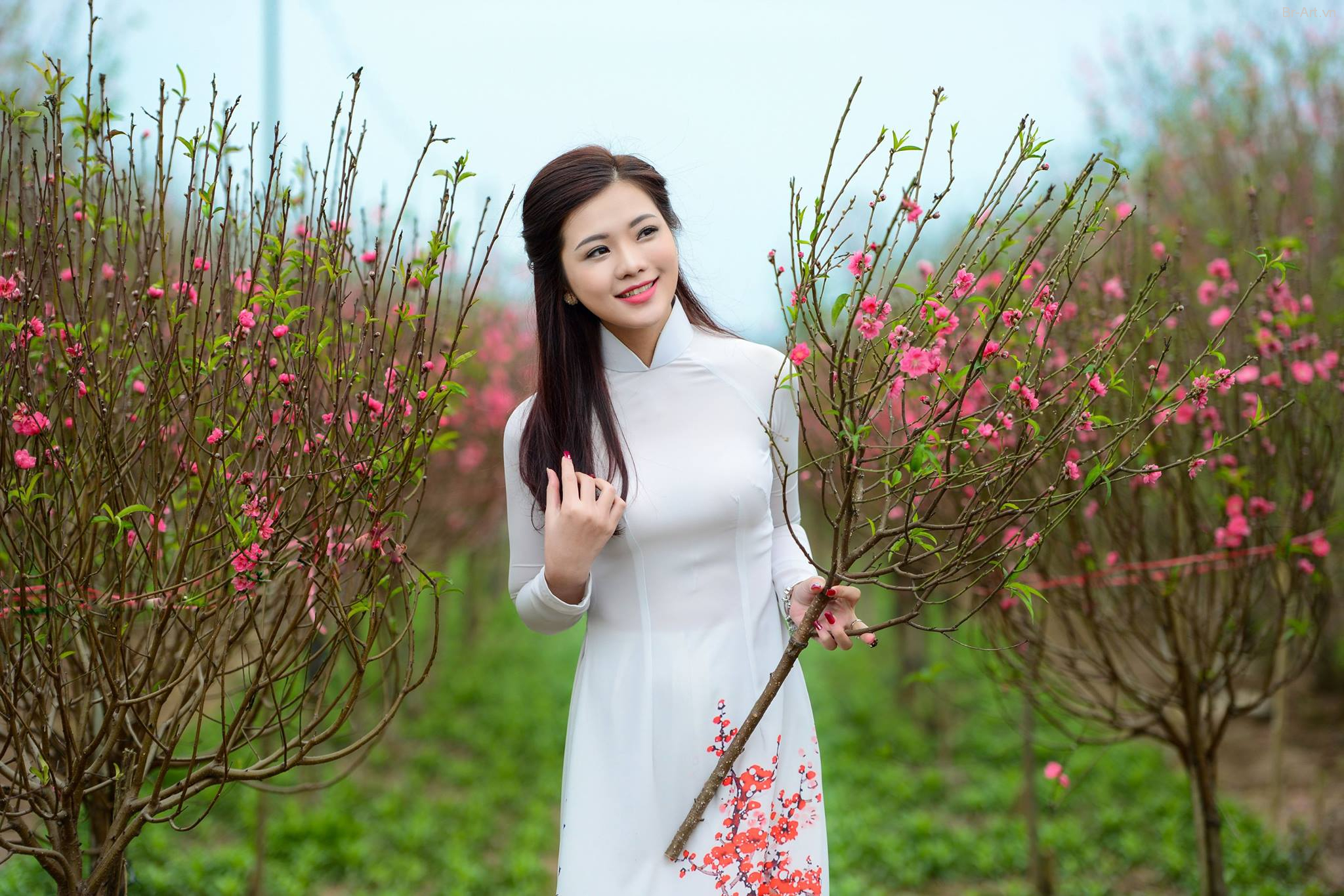 Vườn hoa Phương Linh