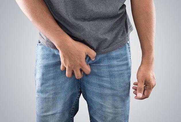 dương vật3