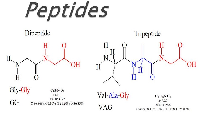 peptides
