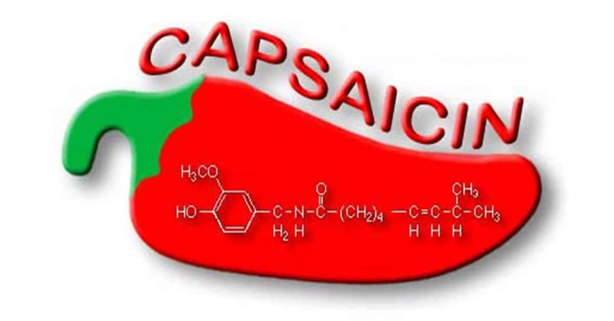 Capsaicin 2