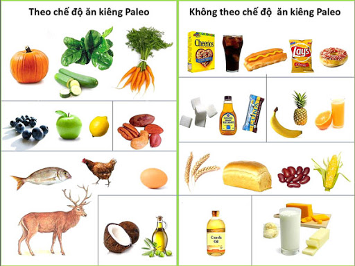 Chế độ Paleo Diet 1