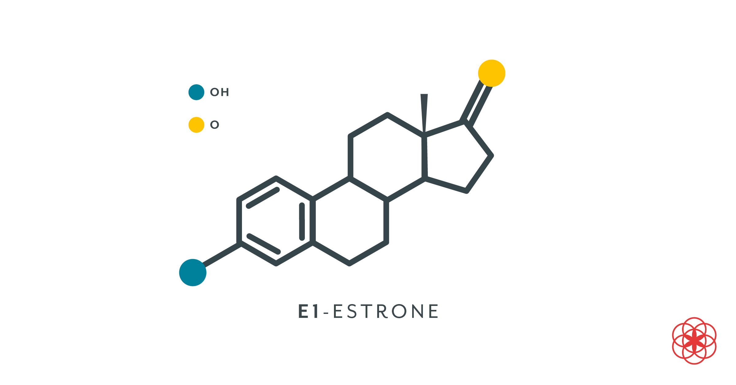 Estrogen