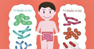 Lợi khuẩn là gì