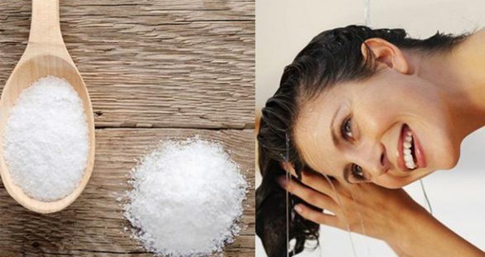 Muối và phèn chua trị gàu