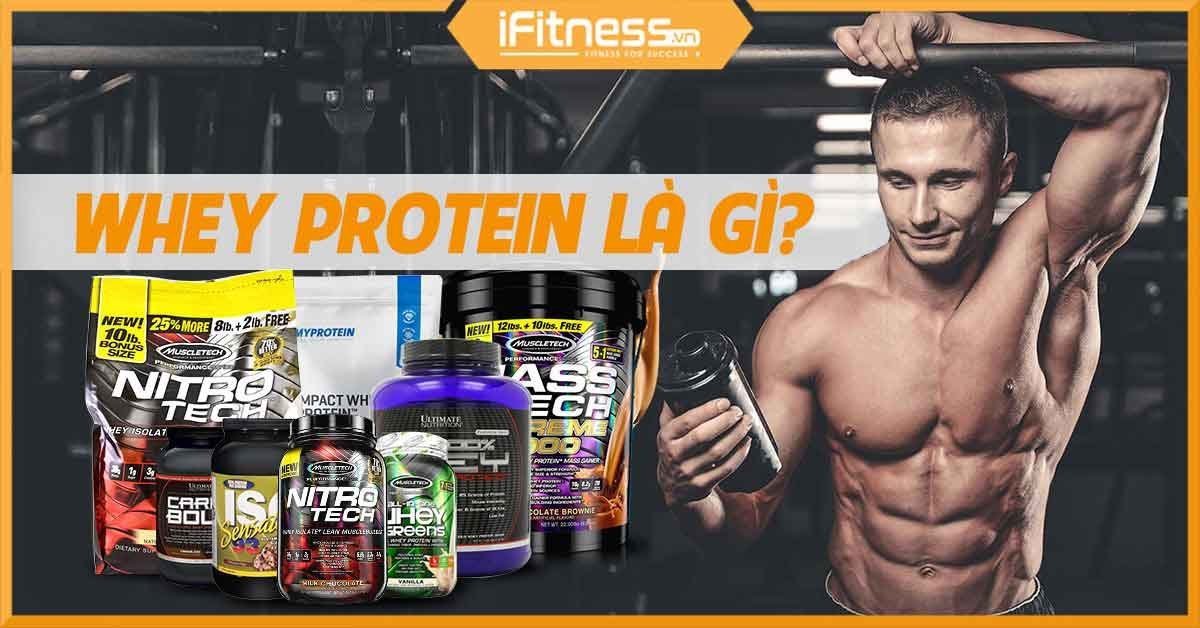 Whey Protein là gì