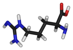 l-arginine4
