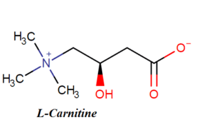 l-carnitine4