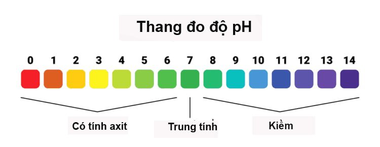 thang ph