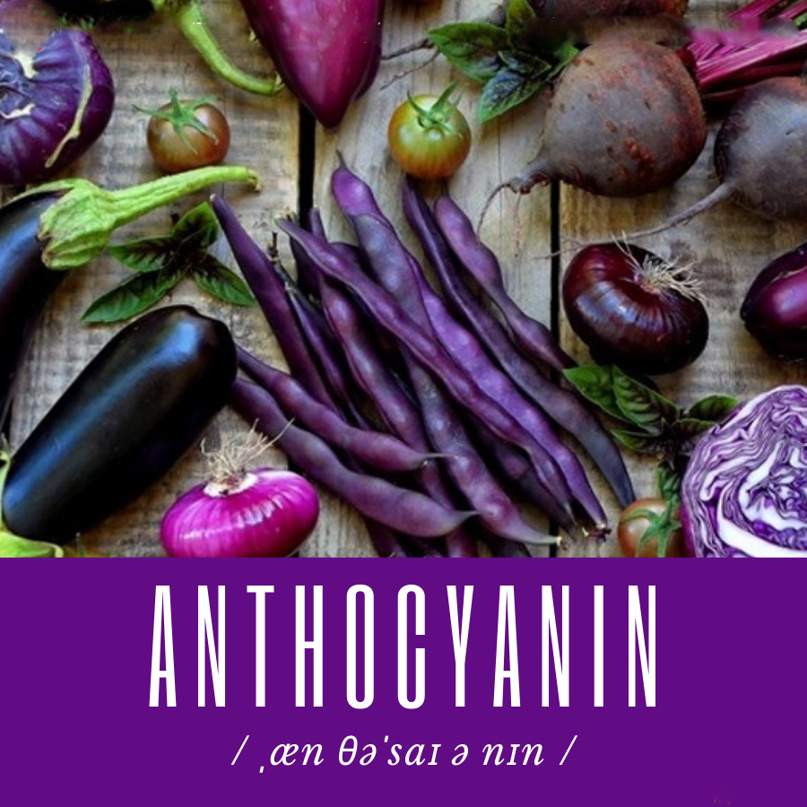 Anthocyanin