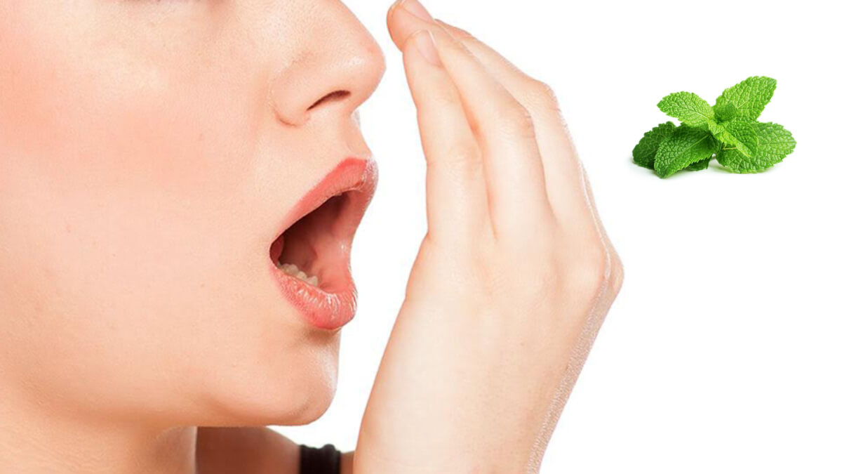 Cách trị hôi miệng với lá bạc hà