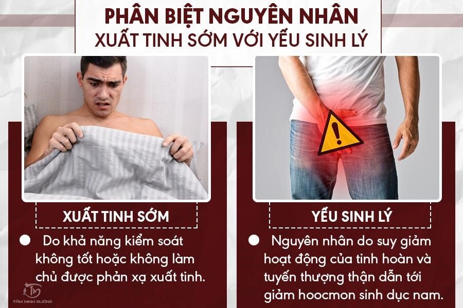 Dị tật cơ quan sinh dục gây yếu sinh lý