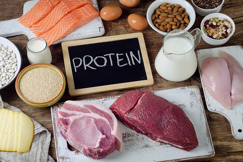 Dồi dào protein
