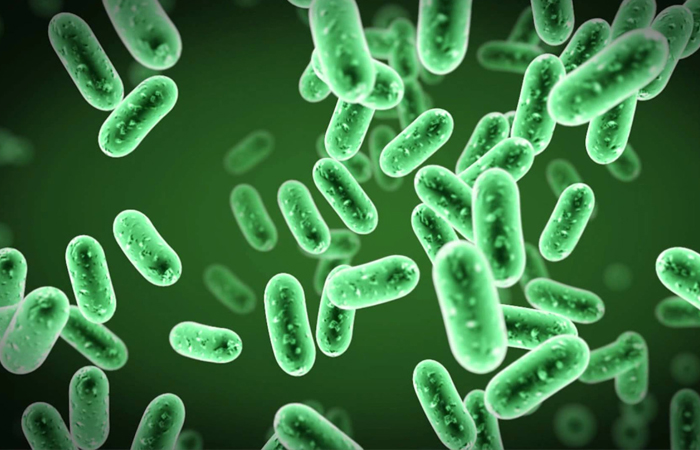Probiotics