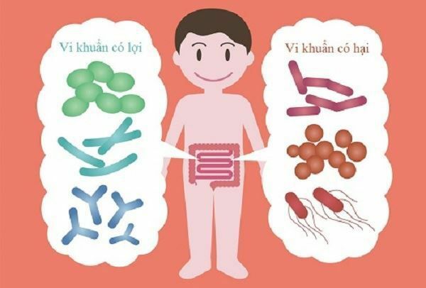 Probiotics0