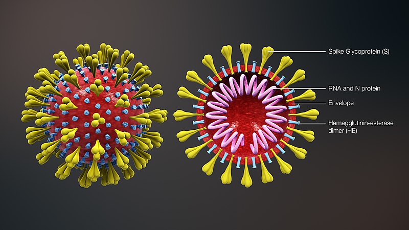Virus chủng mới