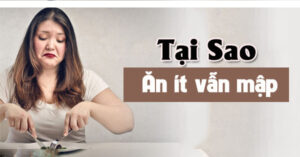 an it van map