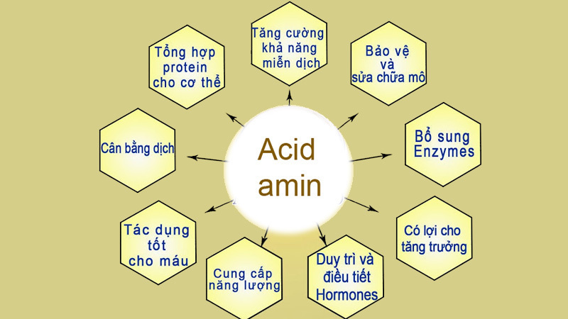 axit amin0