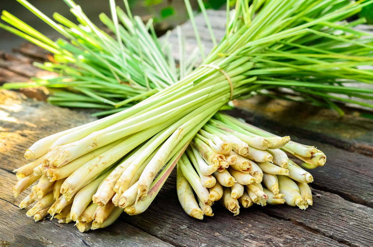 sả