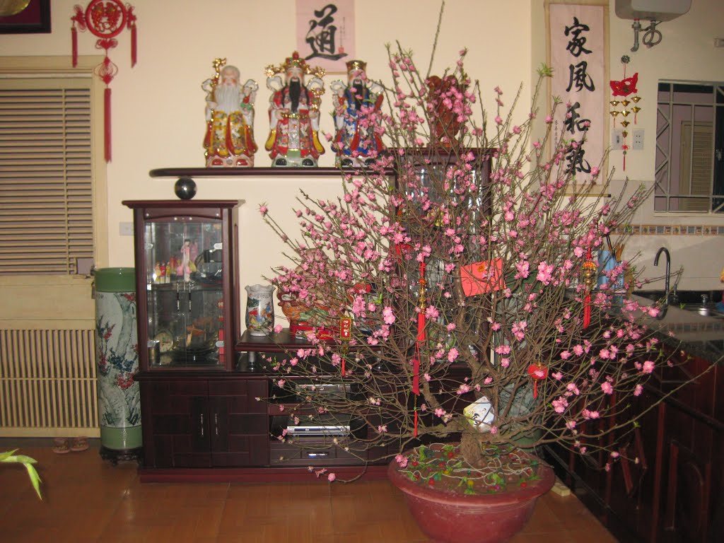 Hoa đào