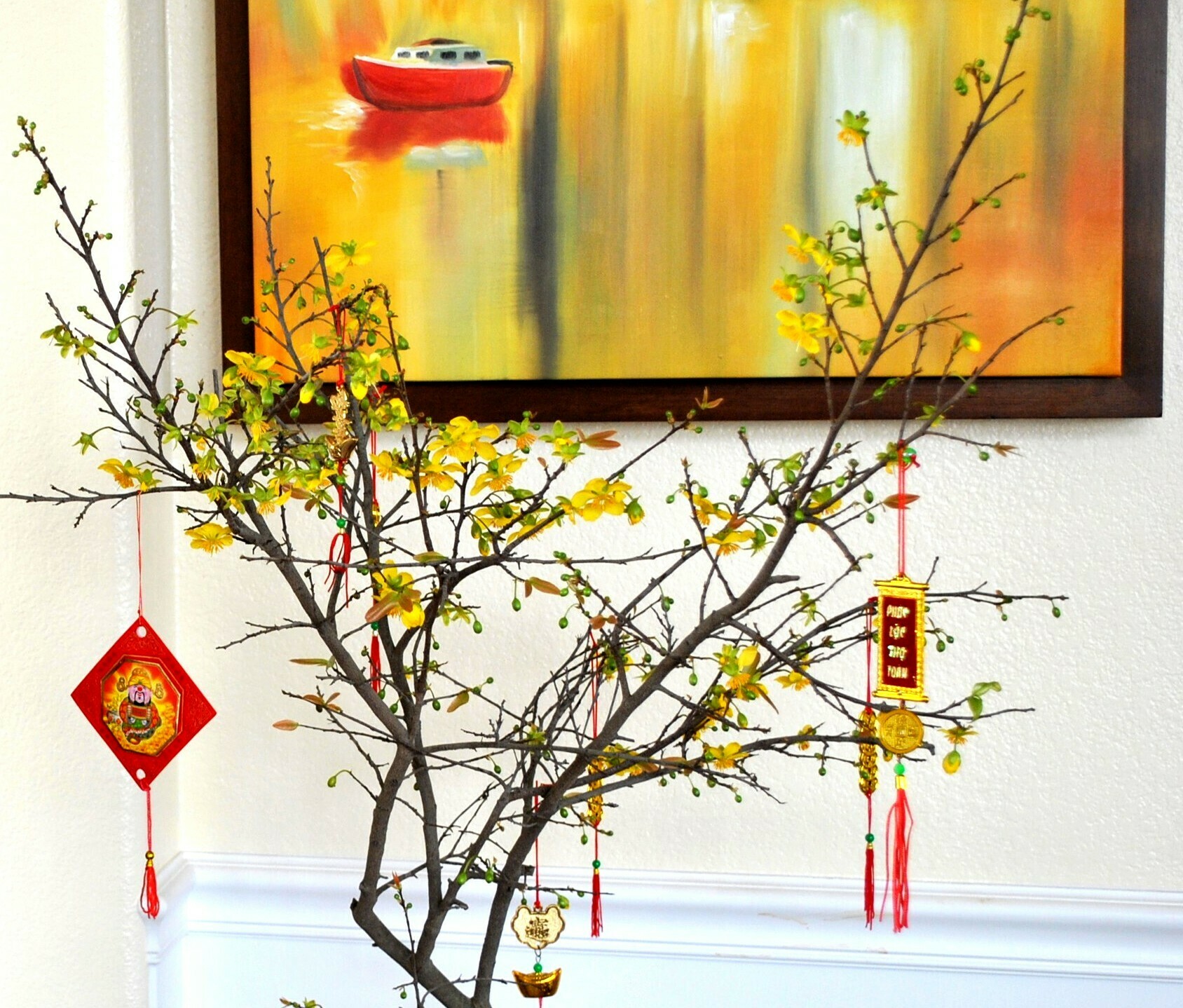Hoa mai là một loại hoa quý