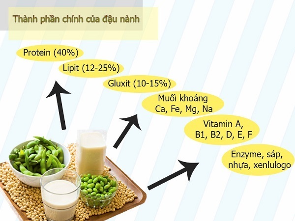 Thành phần có trong mầm đậu nành