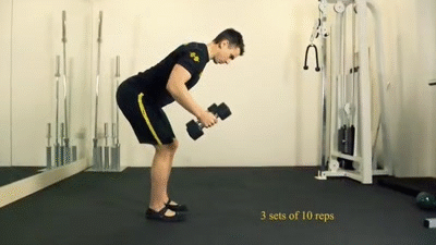 Dumbbell bent-over rear flye