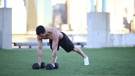Dumbbell renegade