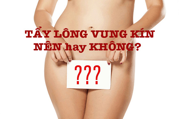 triệt long vung kin