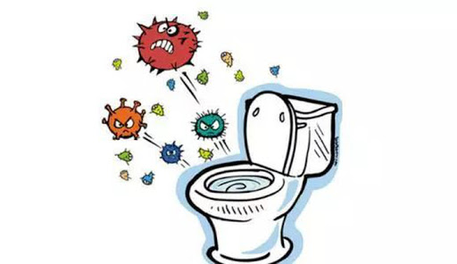 vi khuẩn nhà vệ sinh