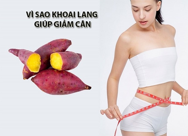 khoai lang giup giam can